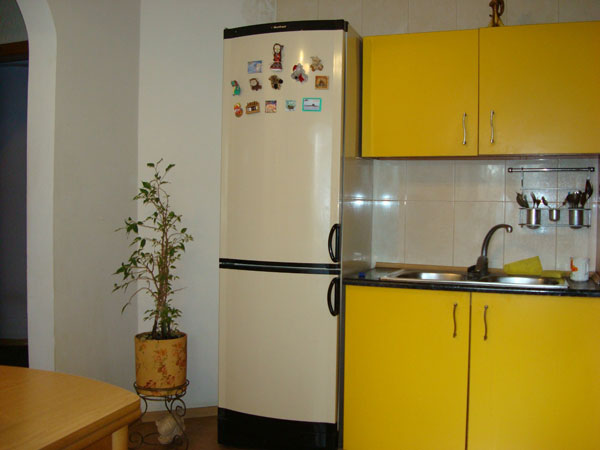 Общий вид холодильника Vestfrost BKF 404 на кухне.