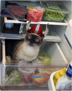 Какая температура должна быть при работе холодильника?